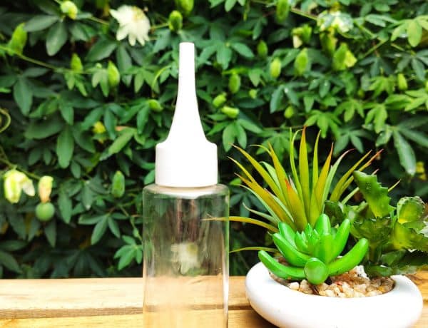 Flacon de soin naturel anti-chute pour les cheveux, posé devant des plantes