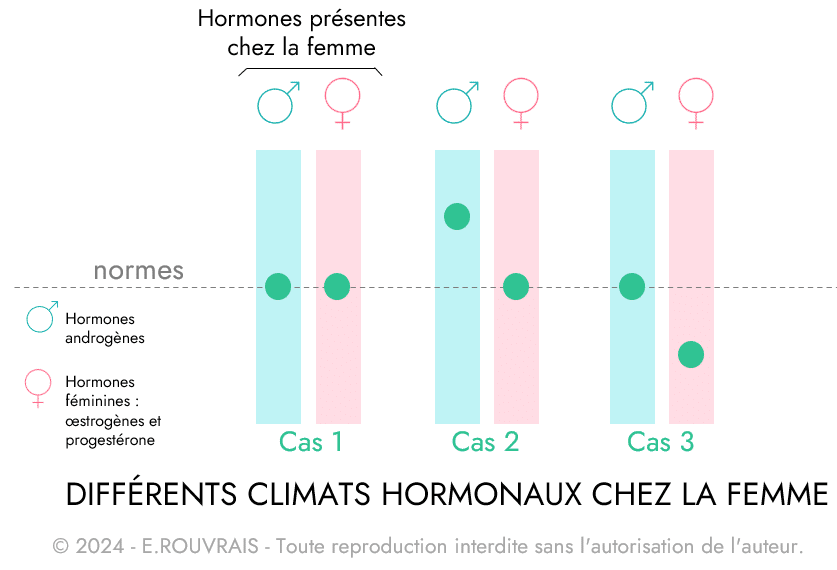 Différents climats hormonaux chez la femme
