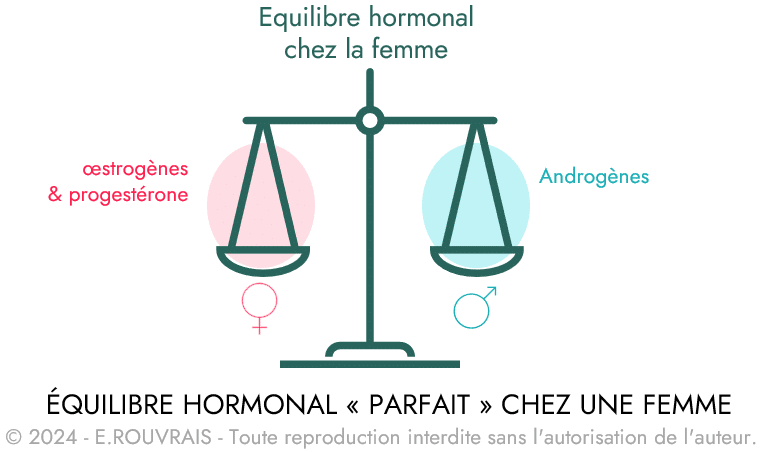 Equilibre hormonal chez la femme