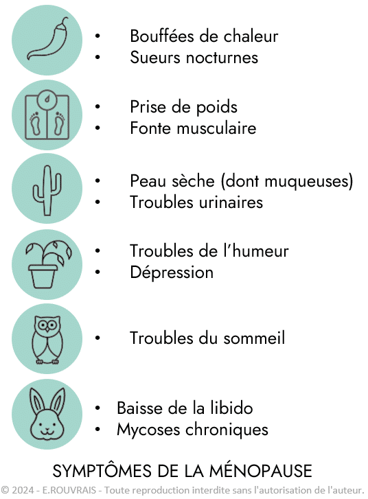 Symptômes de la Ménopause