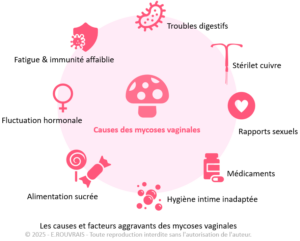 Mycose vaginale : comprendre, apaiser et prévenir