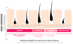 Post-partum : Pourquoi je perds mes cheveux (et pourquoi ce n’est pas une fatalité)