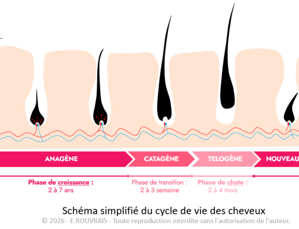 Chute de cheveux du post-partum